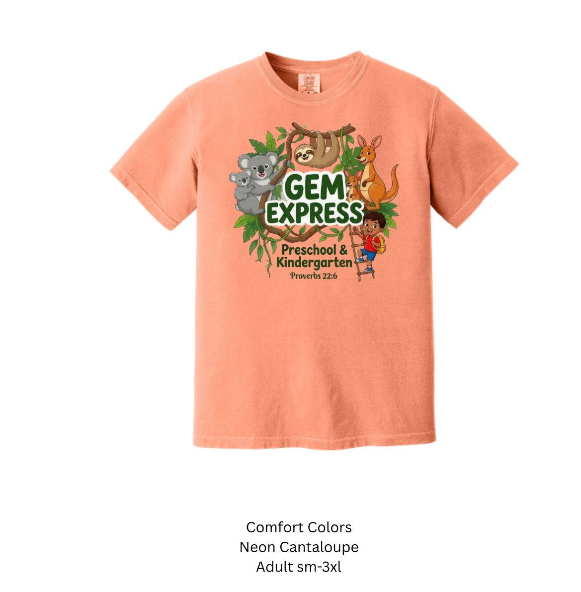 Gem Adult Alt. Color comfort color Short Sleeve Shirt (Copy)
